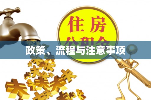 南庄政策、流程与注意事项